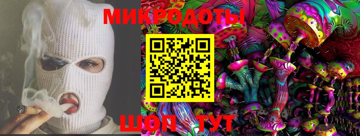 Галлюциногенные грибы мухоморы Звенигород